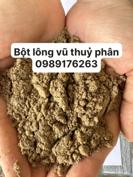 BÔT LÔNG VŨ 80% NGUỒN PROTEIN TỰ NHIÊN SL 1000 TẤN/THÁNG